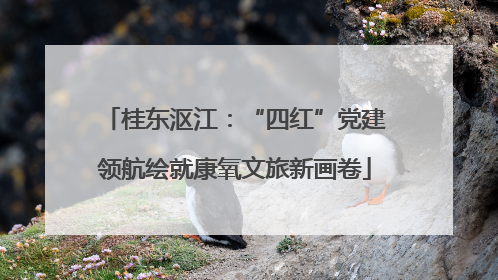 桂东沤江：“四红”党建领航绘就康氧文旅新画卷