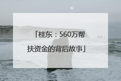 桂东：560万帮扶资金的背后故事