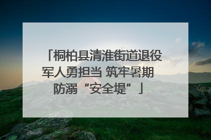 桐柏县清淮街道退役军人勇担当 筑牢暑期防溺“安全堤”