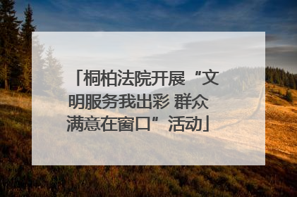 桐柏法院开展“文明服务我出彩 群众满意在窗口”活动