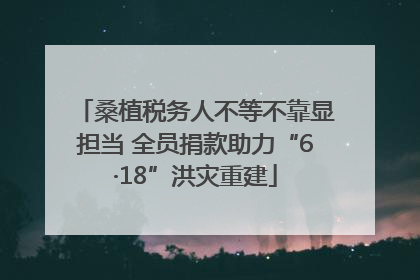 桑植税务人不等不靠显担当 全员捐款助力“6·18”洪灾重建