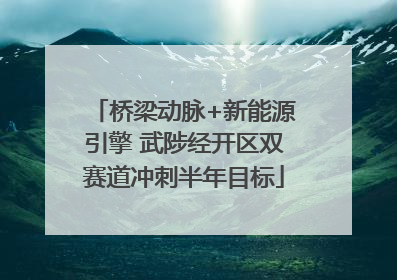 桥梁动脉+新能源引擎 武陟经开区双赛道冲刺半年目标