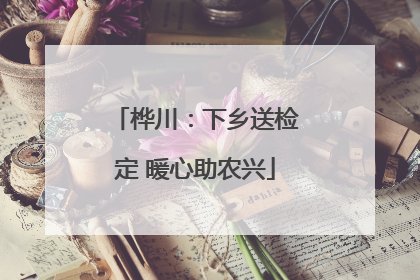 桦川：下乡送检定 暖心助农兴