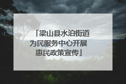 梁山县水泊街道为民服务中心开展惠民政策宣传