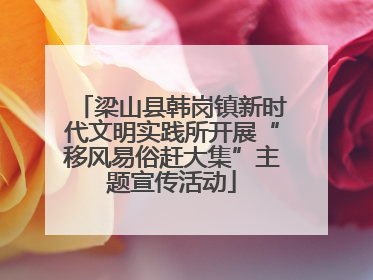 梁山县韩岗镇新时代文明实践所开展“移风易俗赶大集”主题宣传活动