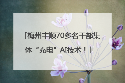 梅州丰顺70多名干部集体“充电”AI技术！