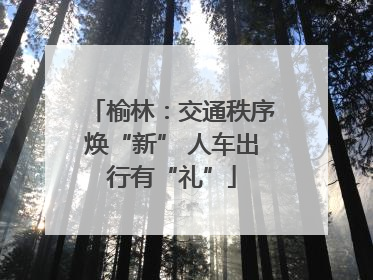 榆林：交通秩序焕“新” 人车出行有“礼”