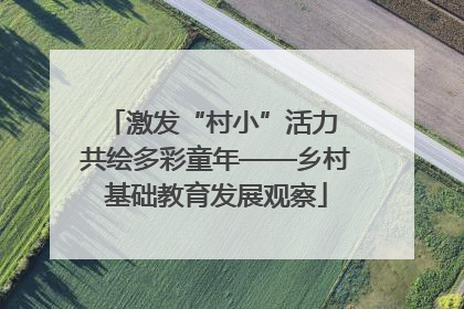 激发“村小”活力 共绘多彩童年——乡村基础教育发展观察