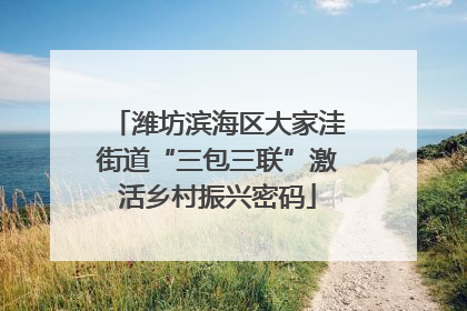 潍坊滨海区大家洼街道“三包三联”激活乡村振兴密码