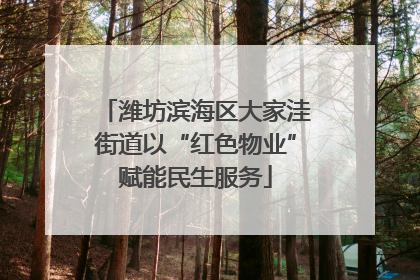潍坊滨海区大家洼街道以“红色物业”赋能民生服务