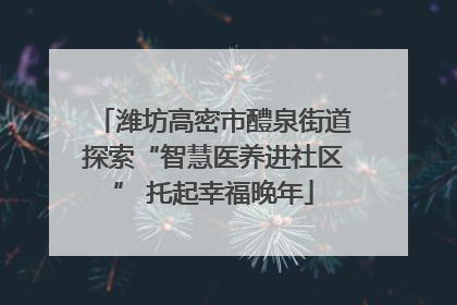 潍坊高密市醴泉街道探索“智慧医养进社区” 托起幸福晚年