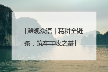 潍观众语｜精耕全链条，筑牢丰收之基