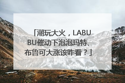 潮玩大火，LABUBU催动下泡泡玛特、布鲁可大涨该咋看？