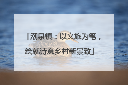 潮泉镇：以文旅为笔，绘就诗意乡村新景致