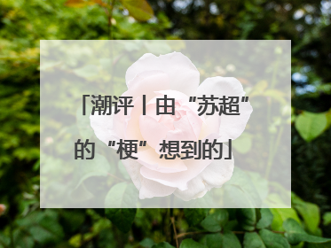 潮评丨由“苏超”的“梗”想到的