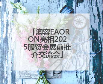 澳容EAORON亮相2025服贸会展前推介交流会