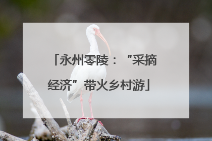 永州零陵：“采摘经济”带火乡村游