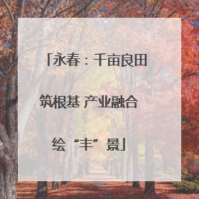 永春：千亩良田筑根基 产业融合绘“丰”景