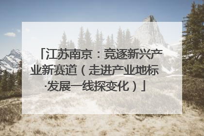 江苏南京：竞逐新兴产业新赛道（走进产业地标·发展一线探变化）