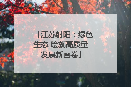 江苏射阳：绿色生态 绘就高质量发展新画卷