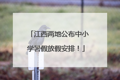 江西两地公布中小学暑假放假安排！