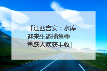 江西吉安：水库迎来生态捕鱼季 鱼跃人欢获丰收