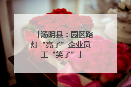 汤阴县：园区路灯“亮了”企业员工“笑了”