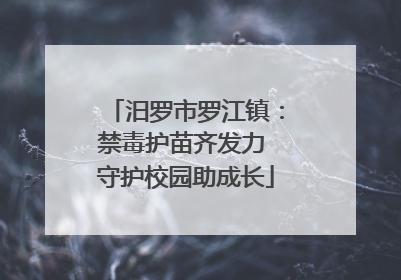 汨罗市罗江镇：禁毒护苗齐发力 守护校园助成长