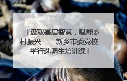 汲取基层智慧，赋能乡村振兴——新乡市委党校举行选调生培训课