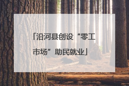 沿河县创设“零工市场”助民就业