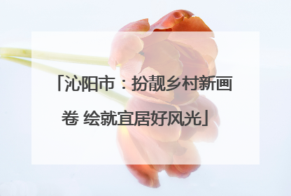 沁阳市：扮靓乡村新画卷 绘就宜居好风光