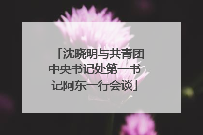 沈晓明与共青团中央书记处第一书记阿东一行会谈