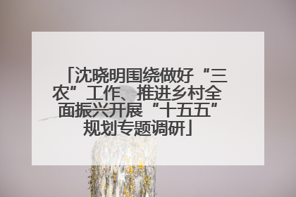沈晓明围绕做好“三农”工作、推进乡村全面振兴开展“十五五”规划专题调研