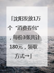 沈阳发放1万个“消费券包”，每份3张共计180元，领取方式→