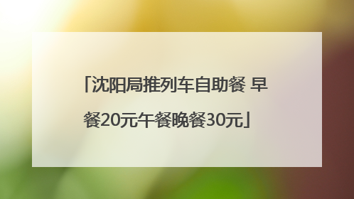 沈阳局推列车自助餐 早餐20元午餐晚餐30元