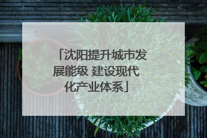 沈阳提升城市发展能级 建设现代化产业体系