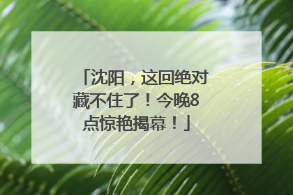 沈阳，这回绝对藏不住了！今晚8点惊艳揭幕！
