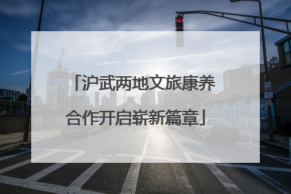 沪武两地文旅康养合作开启崭新篇章