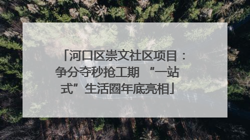 河口区崇文社区项目：争分夺秒抢工期 “一站式”生活圈年底亮相