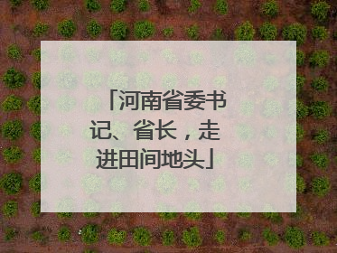 河南省委书记、省长，走进田间地头