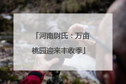 河南尉氏：万亩桃园迎来丰收季