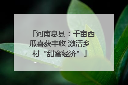 河南息县：千亩西瓜喜获丰收 激活乡村“甜蜜经济”