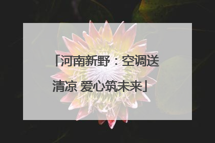 河南新野：空调送清凉 爱心筑未来