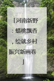 河南新野：蟠桃飘香，绘就乡村振兴新画卷