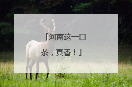 河南这一口茶，真香！