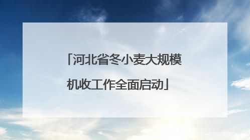 河北省冬小麦大规模机收工作全面启动