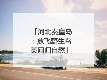 河北秦皇岛：放飞野生鸟类回归自然