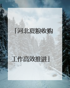 河北夏粮收购工作高效推进