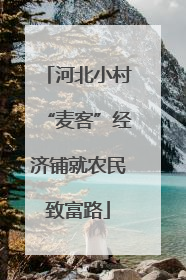 河北小村“麦客”经济铺就农民致富路
