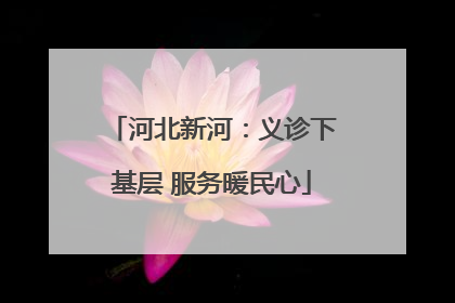 河北新河：义诊下基层 服务暖民心